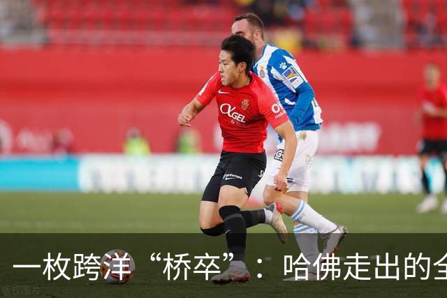 一枚跨洋“桥卒”：哈佛走出的全美棋后于润荷
