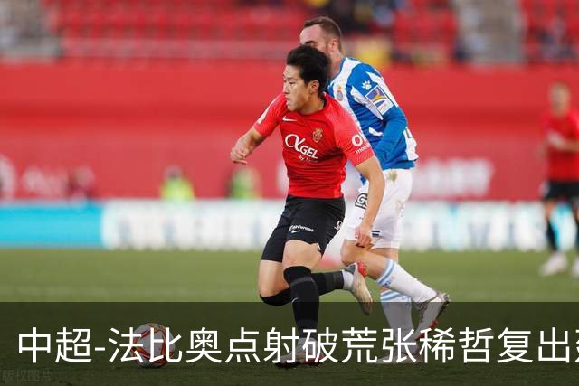 中超-法比奥点射破荒张稀哲复出建功 国安2-1浙江队6轮不败