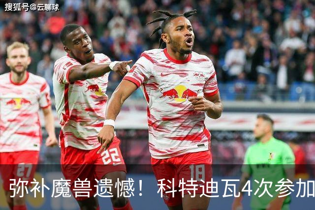 弥补魔兽遗憾！科特迪瓦4次参加世界杯 本届终迎淘汰赛