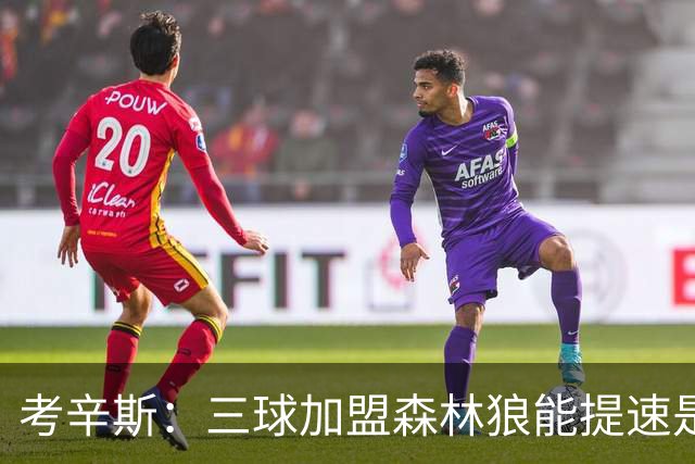 考辛斯：三球加盟森林狼能提速是加分项 他和爱德华兹非常契合