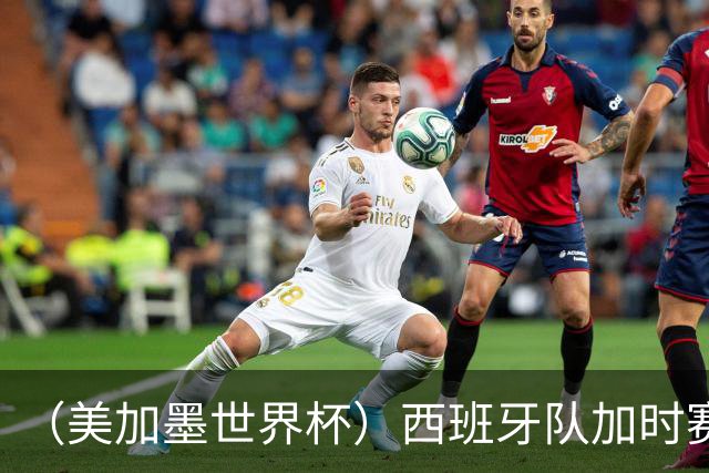（美加墨世界杯）西班牙队加时赛1:0绝杀阿根廷队 夺得世界杯冠军